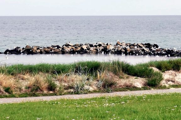 Strand Hohwacht