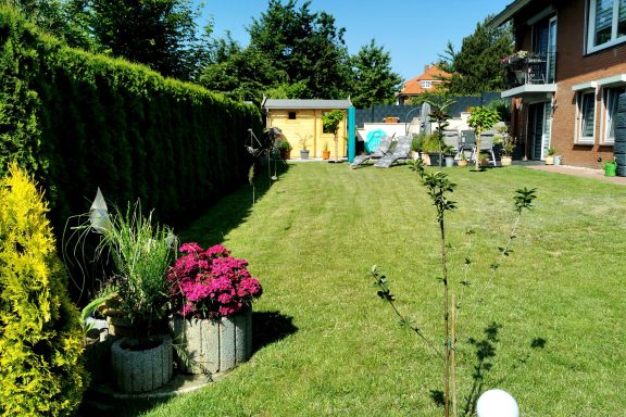 Blick auf den Garten